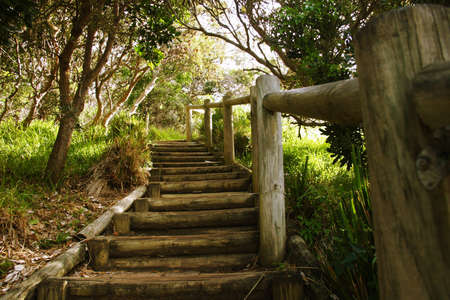 A wooden staircase in a beautiful surrounding on a warm sunny day.の写真素材