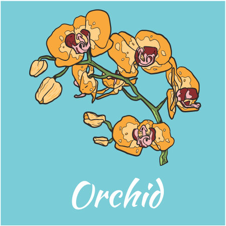 Orchid Vector Flower Illustrationのイラスト素材
