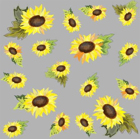 Background. Sunflower.のイラスト素材