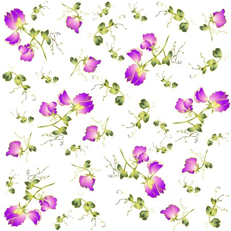 Seamless background from a flowers ornament, fashionable modern wallpaper or textile.Fragrant pea.のイラスト素材