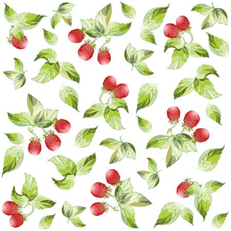 Seamless background from a berry ornament, fashionable modern wallpaper or textile.   Illustration  raspberries.のイラスト素材