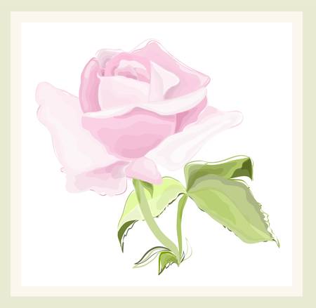 Greeting card with rose. Illustration  roses.のイラスト素材