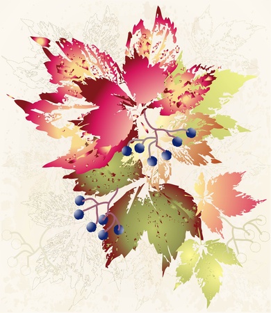 Illustration wild grapes. Autumnal background.      のイラスト素材