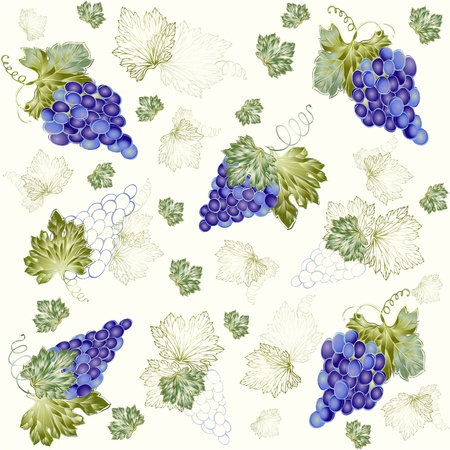 Illustration grapevine.Seamless background. のイラスト素材
