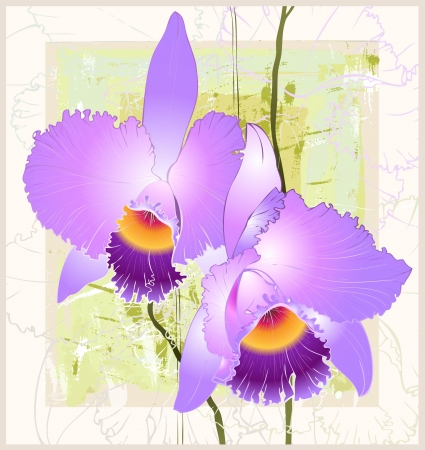 Greeting card with orchid. Illustration orhid.のイラスト素材