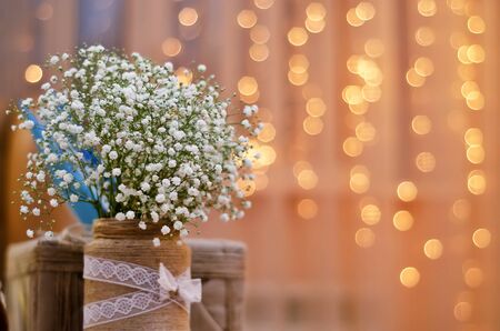 small white flowers on a background of lightsの写真素材