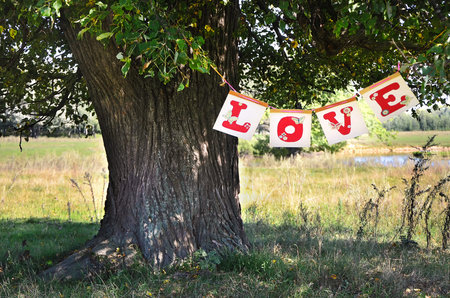 The word Love from red letters beautiful hanging on a large tree in the summerの写真素材