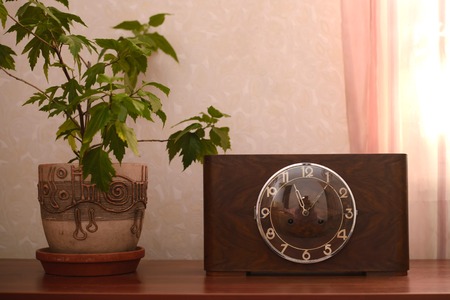 Vintage old clock in a wooden case with a glass cover with the pot of a potted flowerの写真素材