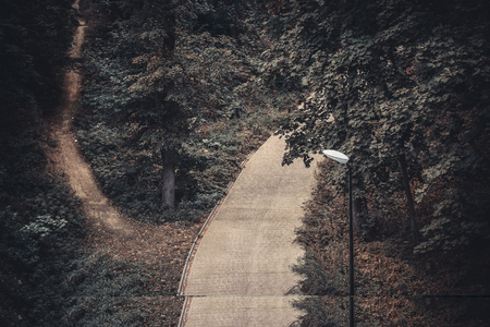 Top view of the road in the Park where a lot of trees, lantern, desertedの写真素材