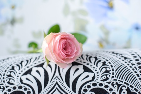 Gentle pink rose on the surface of a fabric with black and white patternsの写真素材
