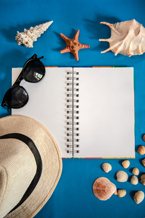 Bright blue picture with an open notebook, small and large shells, light hat and sunglasses with copy spaceの写真素材