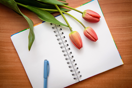 Three red tulip and open notepad in a cage on a wooden surfaceの写真素材
