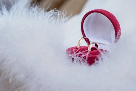 A beautiful red box with gold wedding rings on white feathersの写真素材