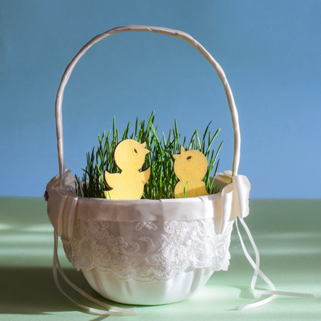 Easter picture, where the two yellow chicken in a beautiful white basket with grass on blue-green...