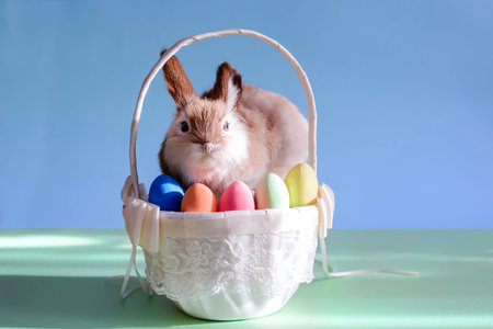 Easter colored eggs in a white basket with grass and a cute rabbit