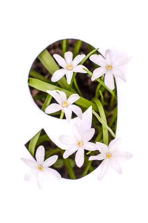 Number nine: small white flowers and green leaves come out through the stencil in the paper for the cardの写真素材
