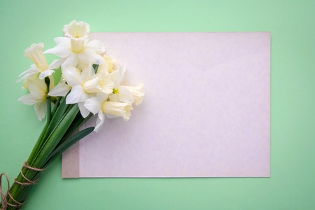 Beautiful delicate bouquet of white yellow daffodils and a sheet of paper on a light green background with copy spaceの写真素材