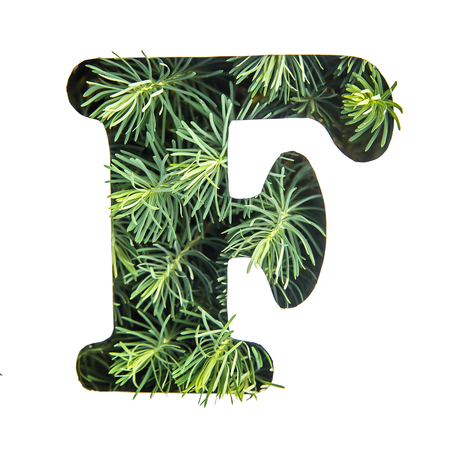 Beautiful letter F of English alphabet made of green grass, portulac, isolate on white backgroundの写真素材