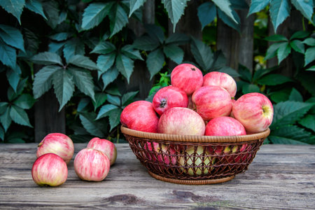 Red delicious apples in a wicker dish on a wooden surface on the background of green foliage