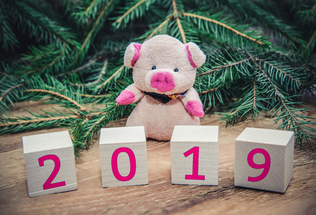 Tinted Christmas picture with 2019 on cubes and a symbol of the new year pig with fir branches on a wooden backgroundの写真素材