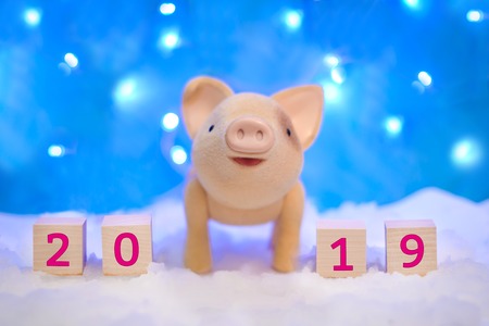 Christmas holiday picture with a pig in the snow and 2019 new year on a blue background with lightsの写真素材