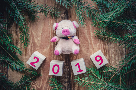 Tinted Christmas picture with 2019 on cubes and a symbol of the new year pig with fir branches on a...