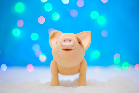 Christmas picture with a cute pig by 2019 new year on a magical blue background with lightsの写真素材