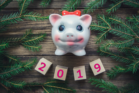Tinted Christmas picture with 2019 new year, fir branches and the symbol of the year pigの写真素材