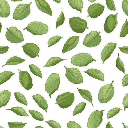 Vector seamless pattern of green apple leaves on a white background, for the design of packages, covers, postcards, books, print on textilesのイラスト素材