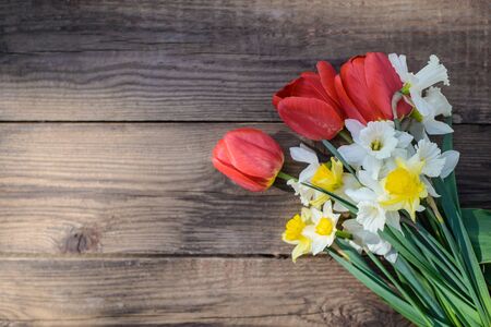 Beautiful bouquet of red tulips and white and yellow daffodils on a rustic wooden background, copy spaceの写真素材