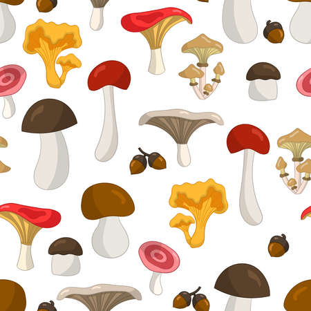 Vector seamless pattern with colorful edible mushrooms on a white background, for cover design, packaging, greeting cards, textile printのイラスト素材