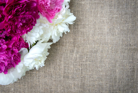 Pink and white peonies on canvas background, burlap, copy space for text