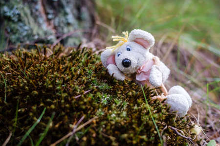 Toy cute funny white mouse in the summer green forest on the moss, copy spaceの写真素材