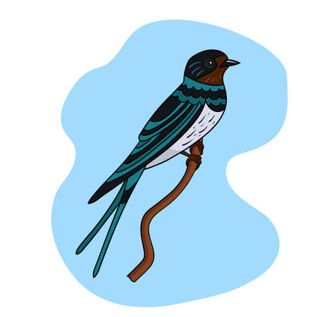 Bird swallow on a branch against the blue sky. Vector illustrationのイラスト素材