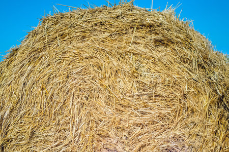 Texture of a yellow haystack against a blue sky close up