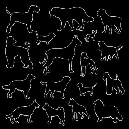 Vector set of white outlines of dogs of different breeds on a black backgroundのイラスト素材