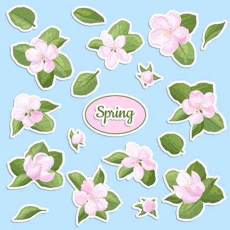 Vector set of stickers with spring apple blossom, delicate pink flowers and buds, for design and decorationのイラスト素材