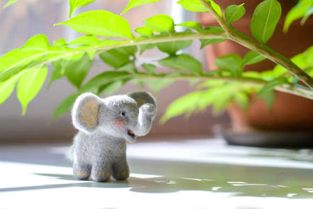 Cute woolly toy elephant under green leaves on a sunny day. Dry felting.の写真素材