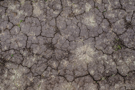 Cracked dry brown ground, abstract grunge backgroundの写真素材