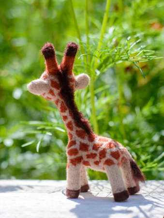 Cute funny little toy handmade woolen giraffe, felting from wool, rear viewの写真素材