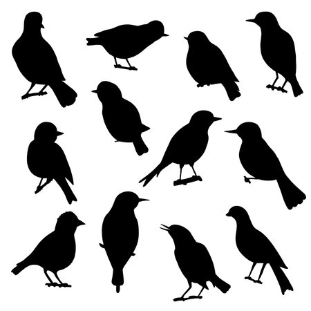 Set of black silhouettes of songbirds on a white backgroundのイラスト素材