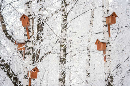 Wooden homemade birdhouses on a trees in a winter parkの写真素材