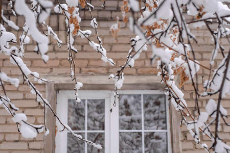 View of the window in the house in the winter snow-covered gardenの写真素材