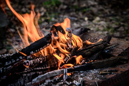 Abstract background with flame fire in the campfire closeupの写真素材