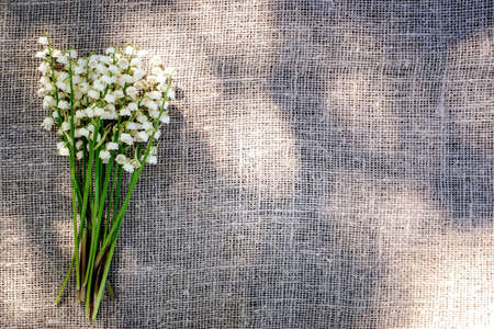 Spring bouquet of lilies of the valley on a canvas background on a sunny day, copy spaceの写真素材