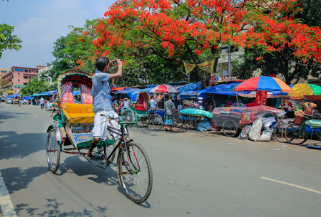 A rickshaw puller takes photographs of Summer flowers krishnachura using his cell phone at Dhaka's Motijheel , Bangladesh.のeditorial素材
