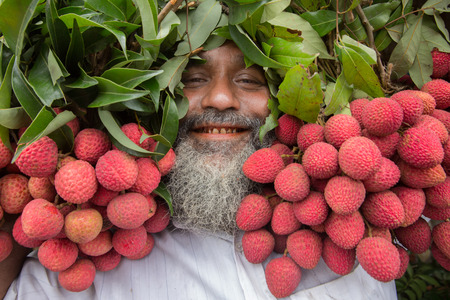 A trader holds a bunch of litchis in Dinajpur, Bangladesh.のeditorial素材