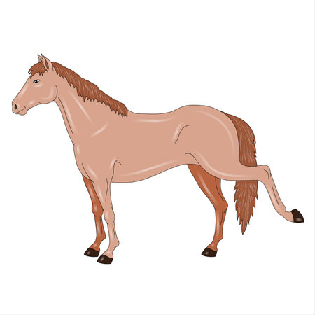 Horse isolated on white background. Cartoon style. Vector illustration.の写真素材