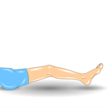 Illustration of a woman's leg in a swimming suit on a white backgroundの写真素材