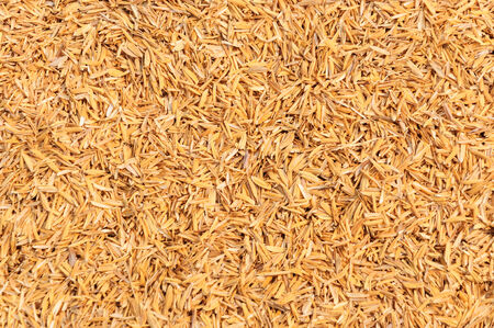 Rice husk horizontal background and textureの写真素材